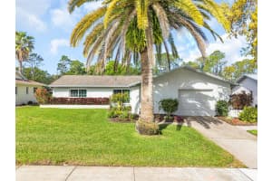 2869 DOONE CIRCLE, PALM HARBOR, FL 34684 - MLS#MFRTB8489123