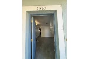 1567 BLUE MAGNOLIA ROAD, BRANDON, FL 33510 - MLS#MFRTB8489131