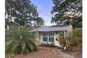 39 Hamilton Heath Dr, TAMPA