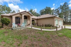 46 FRINGETREE STREET, HOMOSASSA, FL 34446 - MLS#MFRTB8489137
