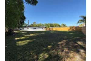 800 SAINT PETERSBURG DRIVE, OLDSMAR, FL 34677 - MLS#MFRTB8489139