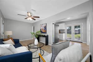 317 ELIZABETH AVENUE, CLEARWATER, FL 33759 - MLS#MFRTB8489144