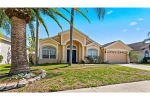 18125 SWEET JASMINE DRIVE, TAMPA, FL 33647 - MLS#MFRTB8489187