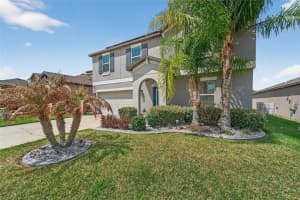 13209 WILDFLOWER MEADOW DRIVE, RIVERVIEW, FL 33579 - MLS#MFRTB8489189