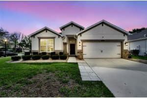 21654 BILLOWY JAUNT DRIVE, LAND O LAKES, FL 34637 - MLS#MFRTB8489195