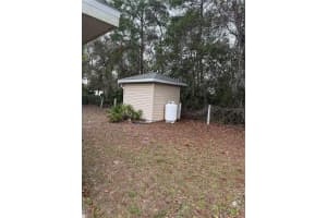 790 PARK AVENUE, ORANGE CITY, FL 32763 - MLS#MFRTB8489204