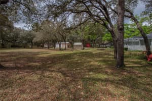 1210 ORIOLE COURT, HERNANDO, FL 34442 - MLS#MFRTB8489253