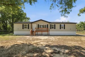 11708 Meadowdale Dr, TAMPA