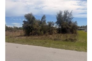 31073 PEACE STREET, PUNTA GORDA, FL 33982 - MLS#MFRTB8489262