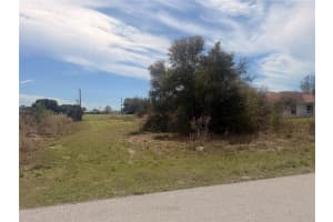 31073 PEACE STREET, PUNTA GORDA, FL 33982 - MLS#MFRTB8489262