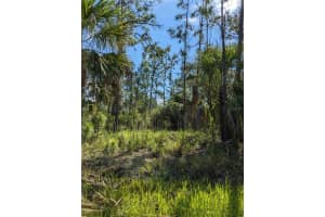 492 BISCAYNE DRIVE, PORT CHARLOTTE, FL 33953 - MLS#MFRTB8489286