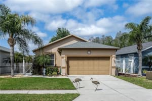 8415 TAROCCO COURT, LAND O LAKES, FL 34637 - MLS#MFRTB8489308