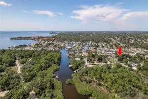 14 BAYWOOD DRIVE, PALM HARBOR, FL 34683 - MLS#MFRTB8489311