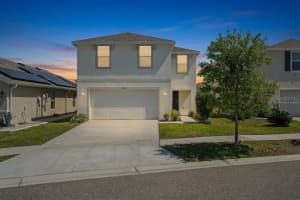 12068 DOWNY BIRCH DRIVE, RIVERVIEW, FL 33569 - MLS#MFRTB8489319