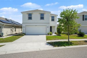 12068 DOWNY BIRCH DRIVE, RIVERVIEW, FL 33569 - MLS#MFRTB8489319