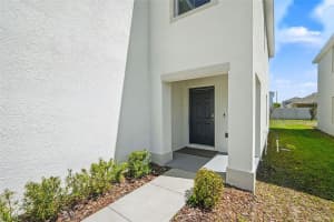 12068 DOWNY BIRCH DRIVE, RIVERVIEW, FL 33569 - MLS#MFRTB8489319