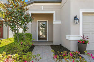 10813 WINDSWEPT GARDEN WAY, TAMPA, FL 33647 - MLS#MFRTB8489320