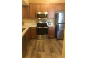 1231 GODAVARI WAY, WESLEY CHAPEL, FL 33543 - MLS#MFRTB8489337