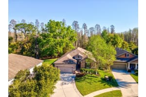 8531 MAY PORT COURT, LAND O LAKES, FL 34638 - MLS#MFRTB8489350