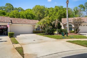 3810 DARSTON STREET, PALM HARBOR, FL 34685 - MLS#MFRTB8489356