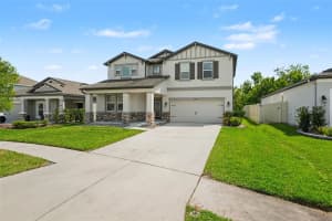 30789 PARROT REEF COURT, WESLEY CHAPEL, FL 33545 - MLS#MFRTB8489400