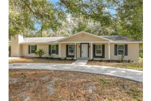 31440 PRESTWICK AVENUE, SORRENTO, FL 32776 - MLS#MFRTB8489402