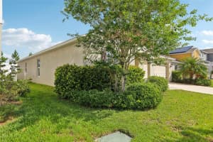 12830 BENT TWIG DRIVE, RIVERVIEW, FL 33579 - MLS#MFRTB8489409