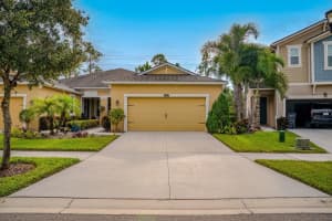 11716 Wrought Pine Loop, RIVERVIEW
