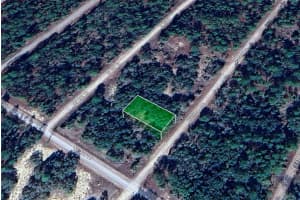 Lot 31 SE 133RD, DUNNELLON, FL 34431 - MLS#MFRTB8489425
