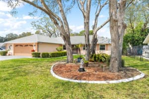 9111 BLAINE ROAD, SPRING HILL, FL 34608 - MLS#MFRTB8489438