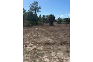 1511 COLUMBUS AVENUE, LEHIGH ACRES, FL 33972 - MLS#MFRTB8489461