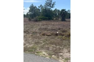 1511 COLUMBUS AVENUE, LEHIGH ACRES, FL 33972 - MLS#MFRTB8489461