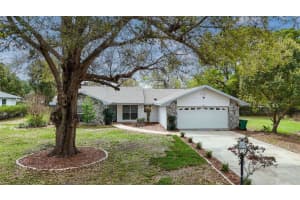 6068 DOUNERAY LOOP, CRYSTAL RIVER, FL 34429 - MLS#MFRTB8489469