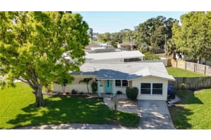 396 LEWIS BOULEVARD, ST PETERSBURG, FL 33712 - MLS#MFRTB8489515