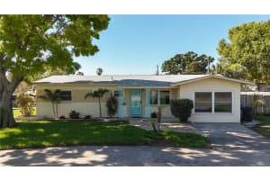 396 LEWIS BOULEVARD, ST PETERSBURG, FL 33712 - MLS#MFRTB8489515