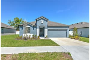 34991 MULRION DRIVE, ZEPHYRHILLS, FL 33541 - MLS#MFRTB8489555