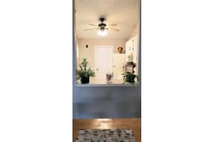 3199 PHLOX DRIVE, PALM HARBOR, FL 34684 - MLS#MFRTB8489572