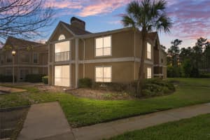 9481 Highland Oak Dr #1311, TAMPA