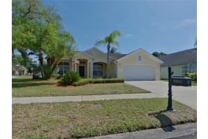 MLS# MFRTB8489627, Lutz, Florida 33558