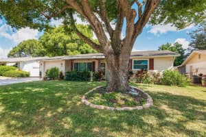 3802 MYNABIRD DRIVE, NEW PORT RICHEY, FL 34652 - MLS#MFRTB8489631