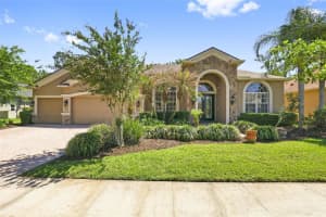 27608 PINE POINT DRIVE, WESLEY CHAPEL, FL 33544 - MLS#MFRTB8489634