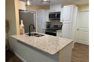 1009 SUMNER BOULEVARD, SAFETY HARBOR, FL 34695 - MLS#MFRTB8489712