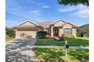 19607 MORDEN BLUSH DRIVE, LUTZ, FL 33558 - MLS#MFRTB8489763