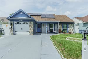 8210 Clermont St, TAMPA