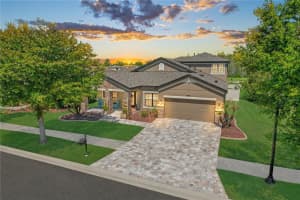 21827 SOUTHERN CHARM DRIVE, LAND O LAKES, FL 34637 - MLS#MFRTB8489779