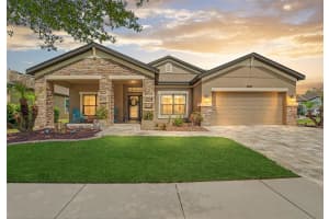 21827 SOUTHERN CHARM DRIVE, LAND O LAKES, FL 34637 - MLS#MFRTB8489779