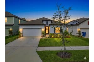 30989 JAZZ LEAF PLACE, SAN ANTONIO, FL 33576 - MLS#MFRTB8489836