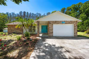 21823 SHAMU DRIVE, LAND O LAKES, FL 34639 - MLS#MFRTB8489840