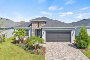 5540 Del Coronado Dr, APOLLO BEACH