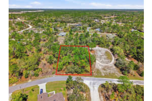 11155 MARSH WREN AVENUE, WEEKI WACHEE, FL 34614 - MLS#MFRTB8489868